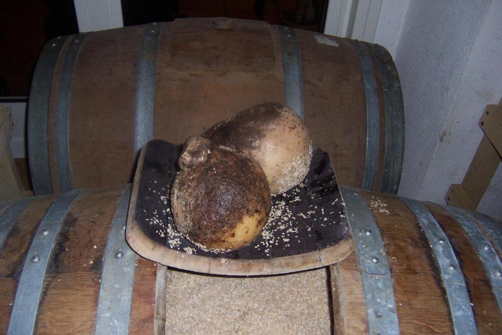 הוילה סקאנו Bio Agriturismo Valle Scannese מראה חיצוני תמונה