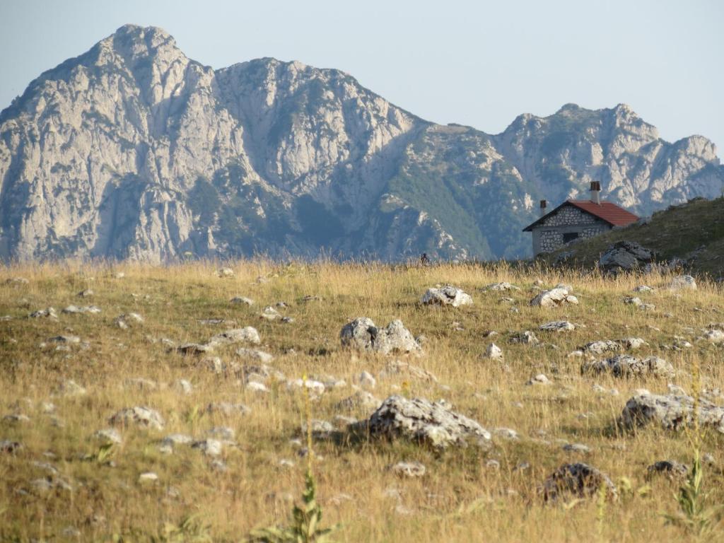 הוילה סקאנו Bio Agriturismo Valle Scannese מראה חיצוני תמונה